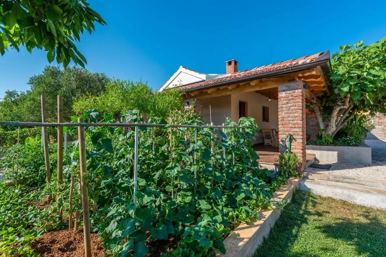Holiday home Villa Navita Augustinus With Pool Debeljak